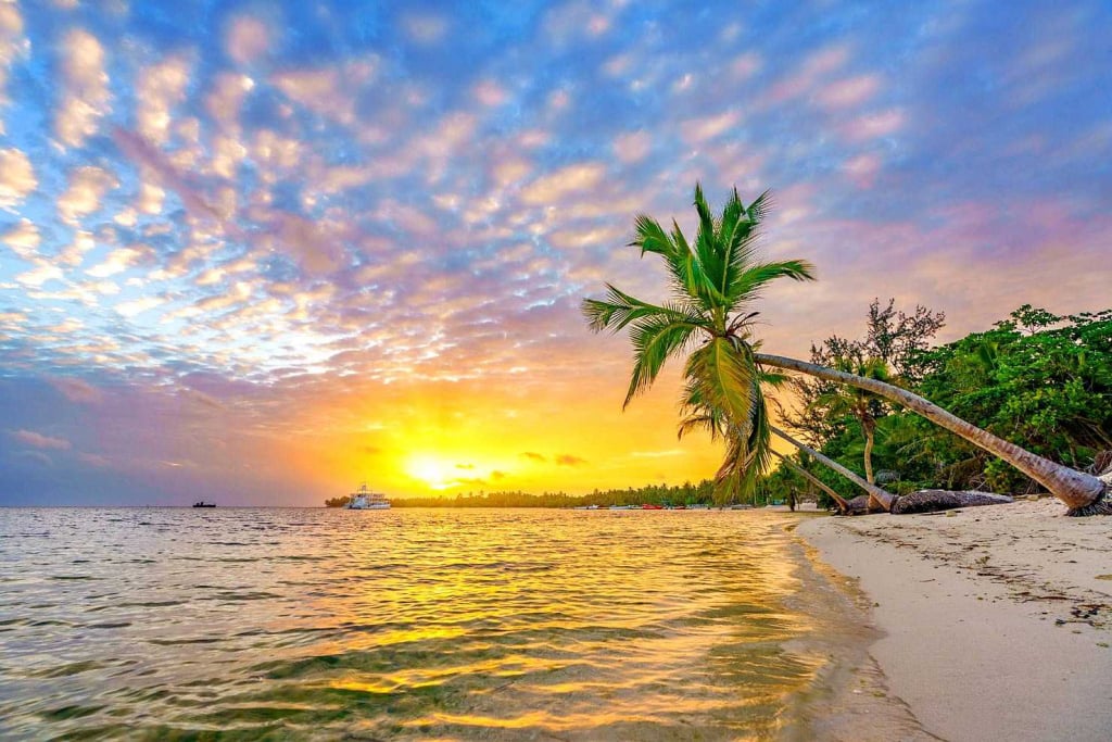 Zoymar Saona Tours